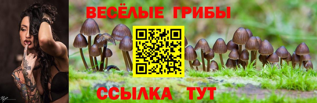 Галлюциногенные грибы Magic Shrooms Батайск